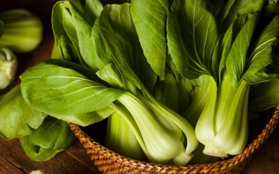Veggie of the Month- Bok Choy