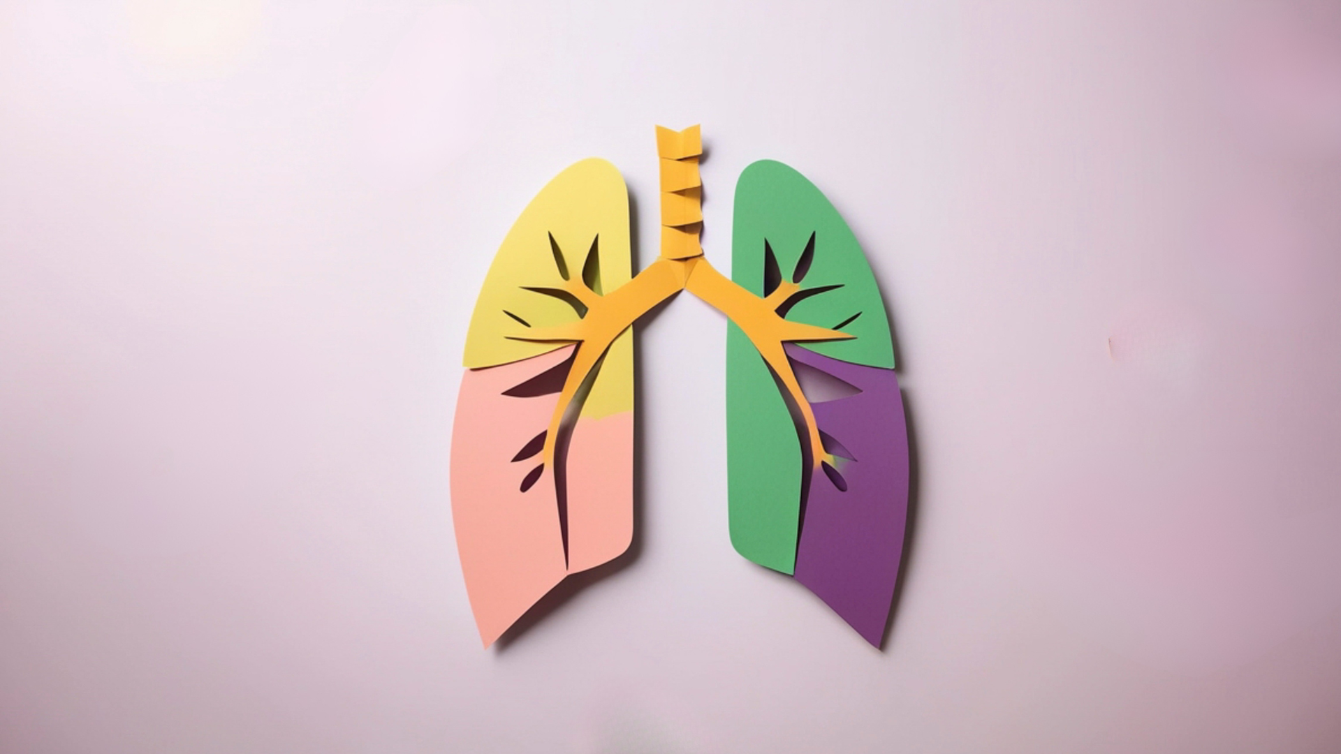 lung cover image